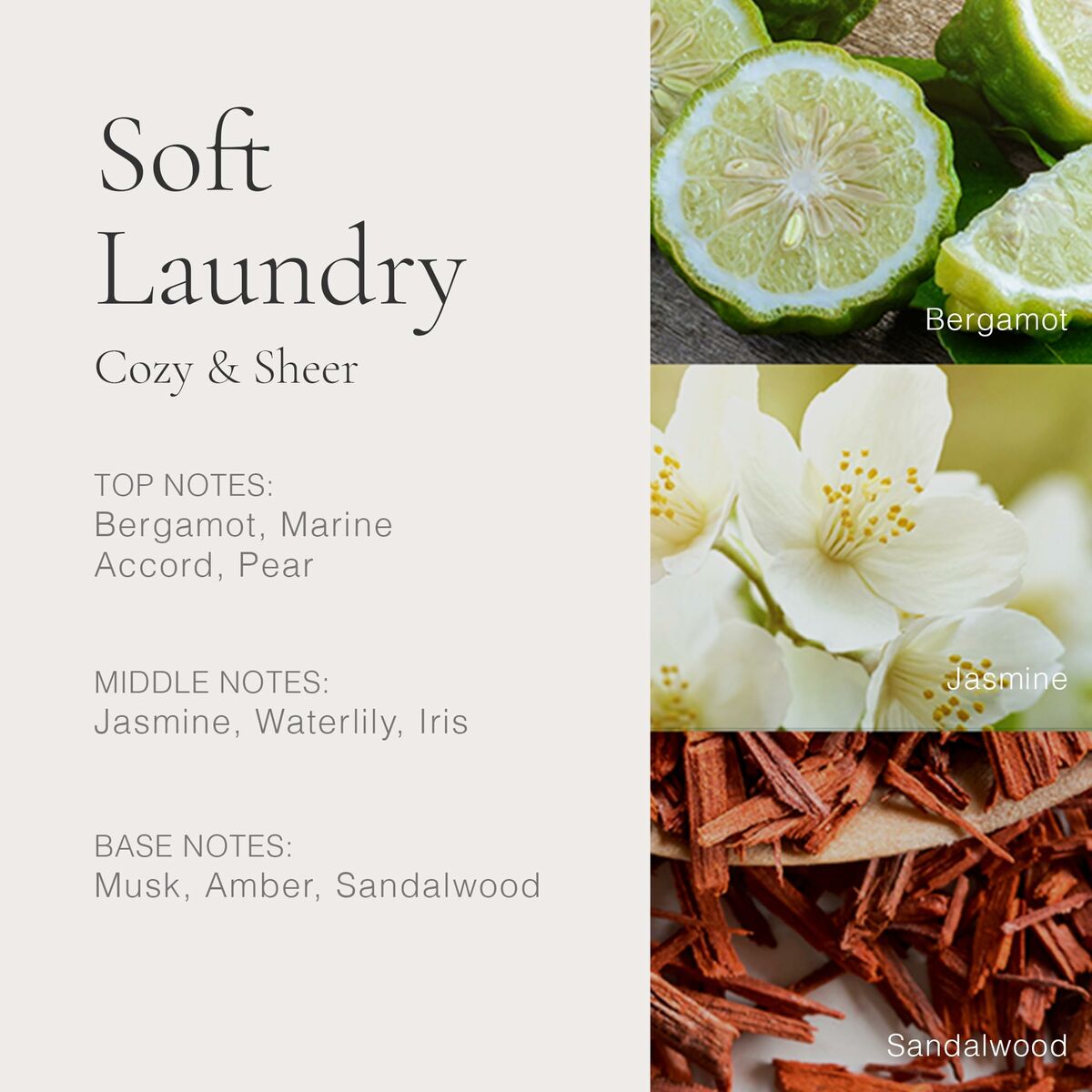 Profumo Unisex Clean