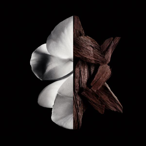 Givenchy Gentleman Boisee Epv 200ml