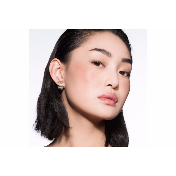Diorskin Shimmer Colorete N219 1un