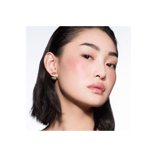 Diorskin Shimmer Colorete N720 Icone 1un