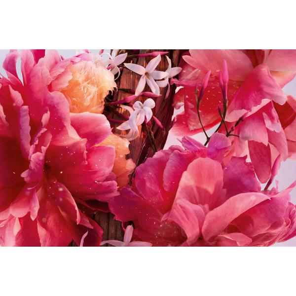 Dior Miss Dior Parfum 50ml Spray