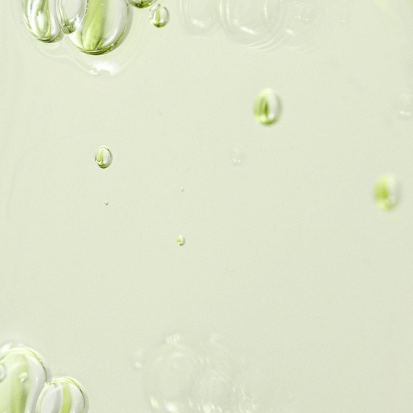 Beauty Of Joseon Calming Serum Green Tea + Panthenol 30ml