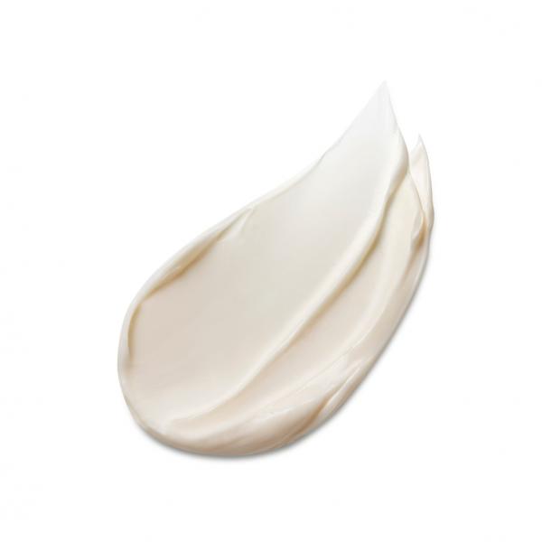 Estée Lauder Advanced Night Repair Overnight Treatment Sellador Nocturno Treatment 65ml