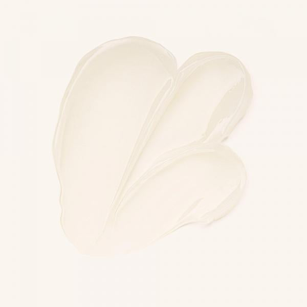 Catrice Grip to Last Primer Para Sombra De Ojos 010 8ml