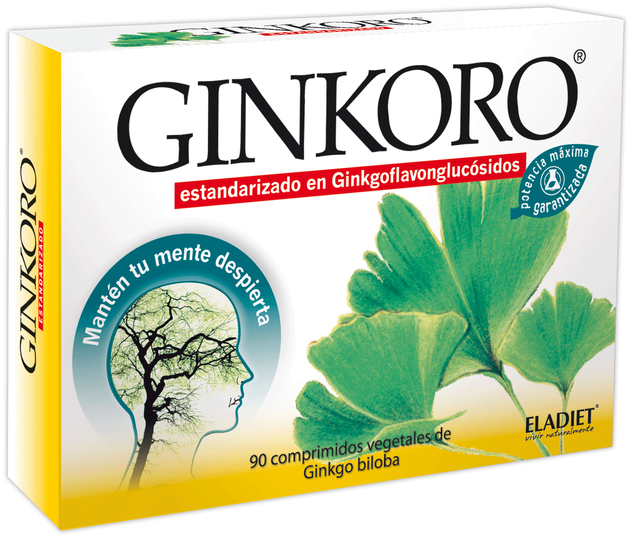 Eladiet Ginkoro 90 Comp