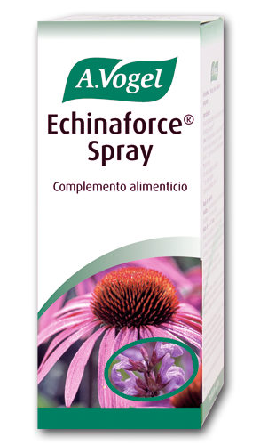 Vogel Echinaforce Spray 30ml