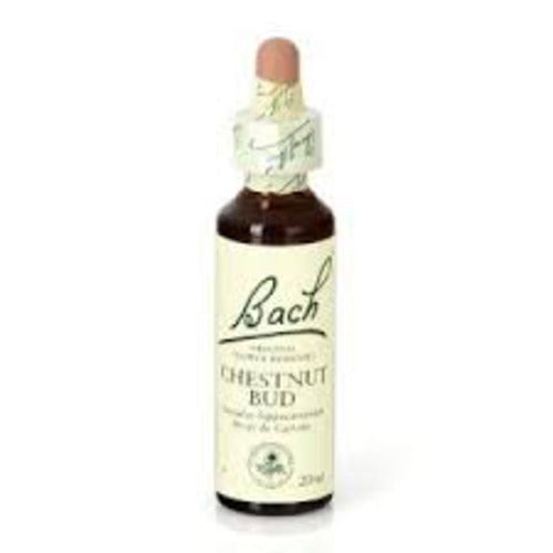 Bach 07 Bourgeon de châtaignier 20 ml
