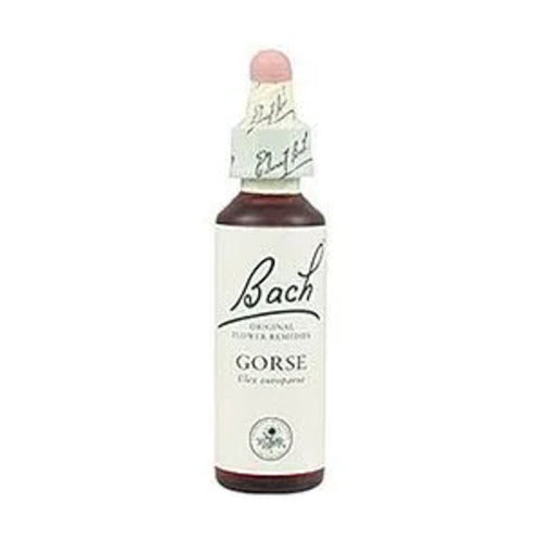 Bach 13 Gorse 20ml