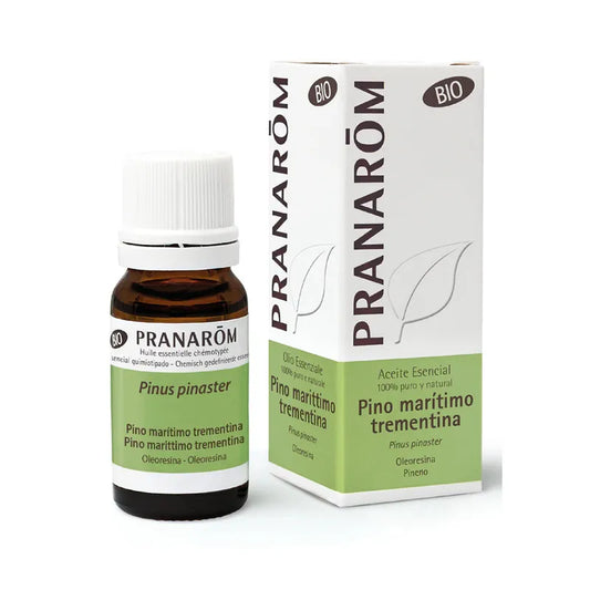 Huile essentielle de térébenthine de pin maritime biologique 10 ml