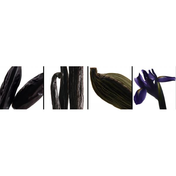 Profumo Uomo Yves Saint Laurent La Nuit De L'homme EDT La Nuit De L'homme