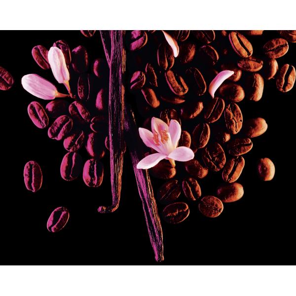 Profumo Donna Yves Saint Laurent Black Opium EDP 90 ml