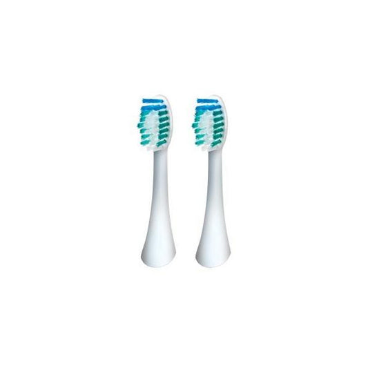 Waterpik  Nanonosonic Head 2uts
