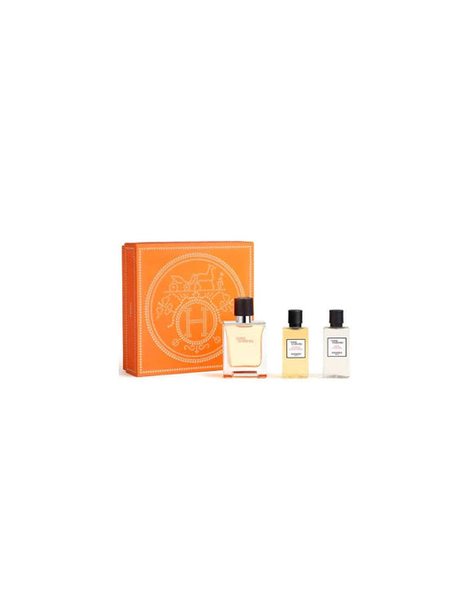 Hermès Terre D'hermes and T 50 Spray Gel40 Ash40