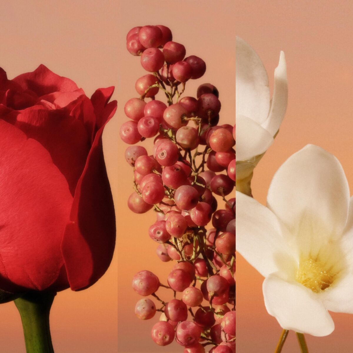 Profumo Uomo Calvin Klein 30 ml