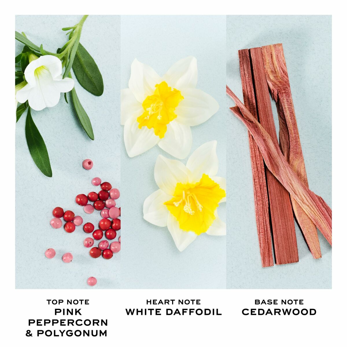 Profumo Donna Marc Jacobs PERFECT EDT 50 ml