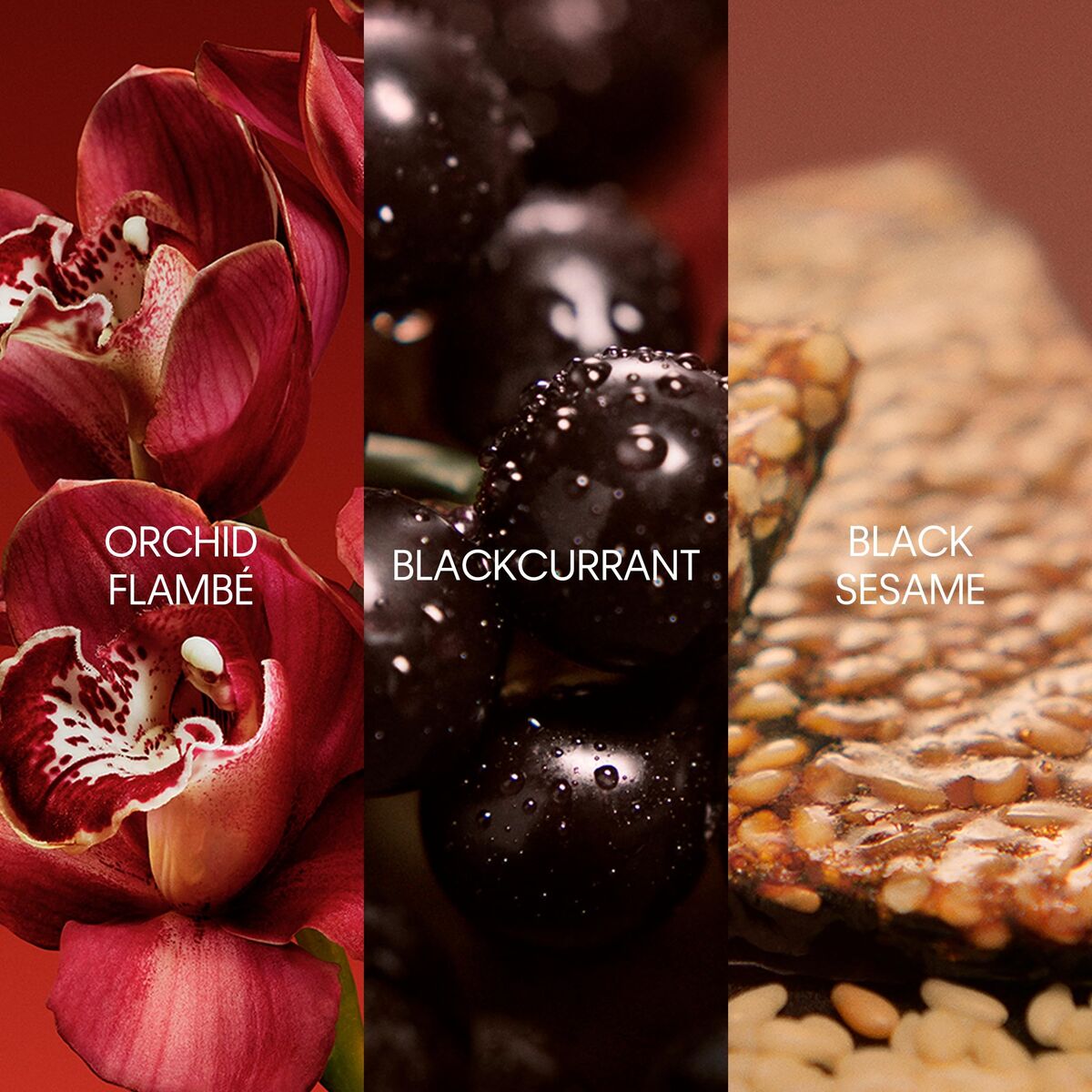 Profumo Donna Calvin Klein EUPHORIA 50 ml