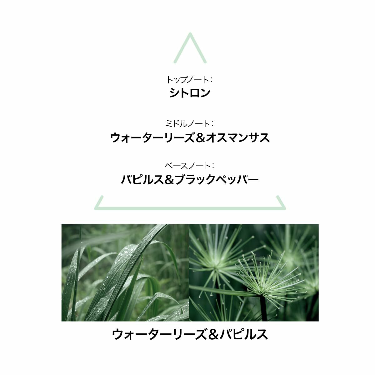 Profumo Donna Le Couvent des Minimes