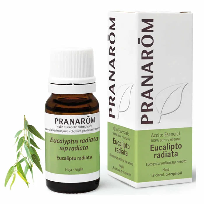 Pranarom Eucalyptus Radiata Essential Oil 10ml