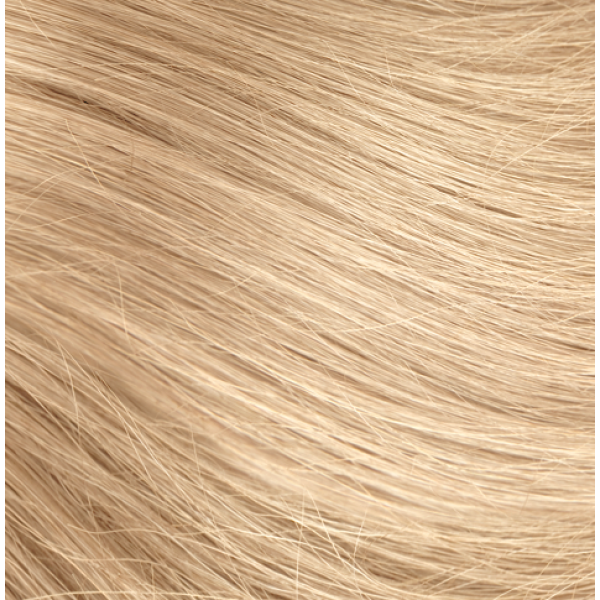 Naturtint 10N Ammonia Free Hair Colour 150ml