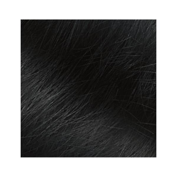 Naturtint 2.1 Ammonia Free Hair Colour 150ml