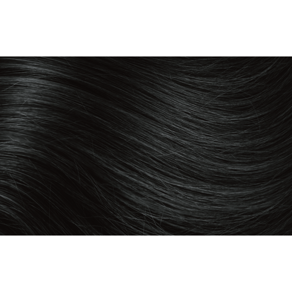 Naturtint 2.1 Ammonia Free Hair Colour 150ml