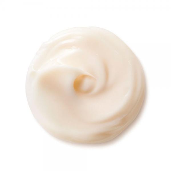 Shiseido Benefiance Nutri Perfect Day Cream Spf 15 50ml