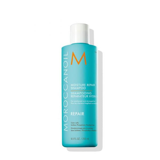 Repair Moisture Repair Shampoo 250ml