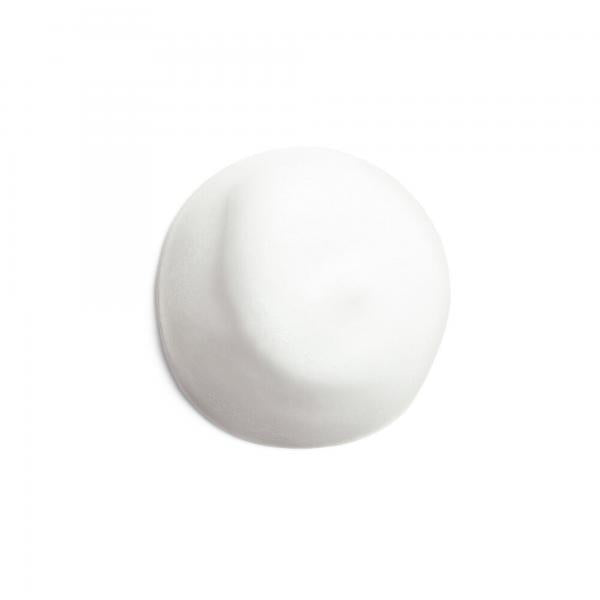 Shiseido Complete Cleansing Microfoam 180ml
