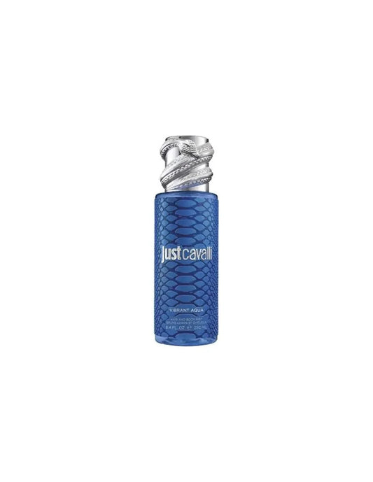 Roberto Cavalli Rc Just Cavalli Mist Blue 250ml