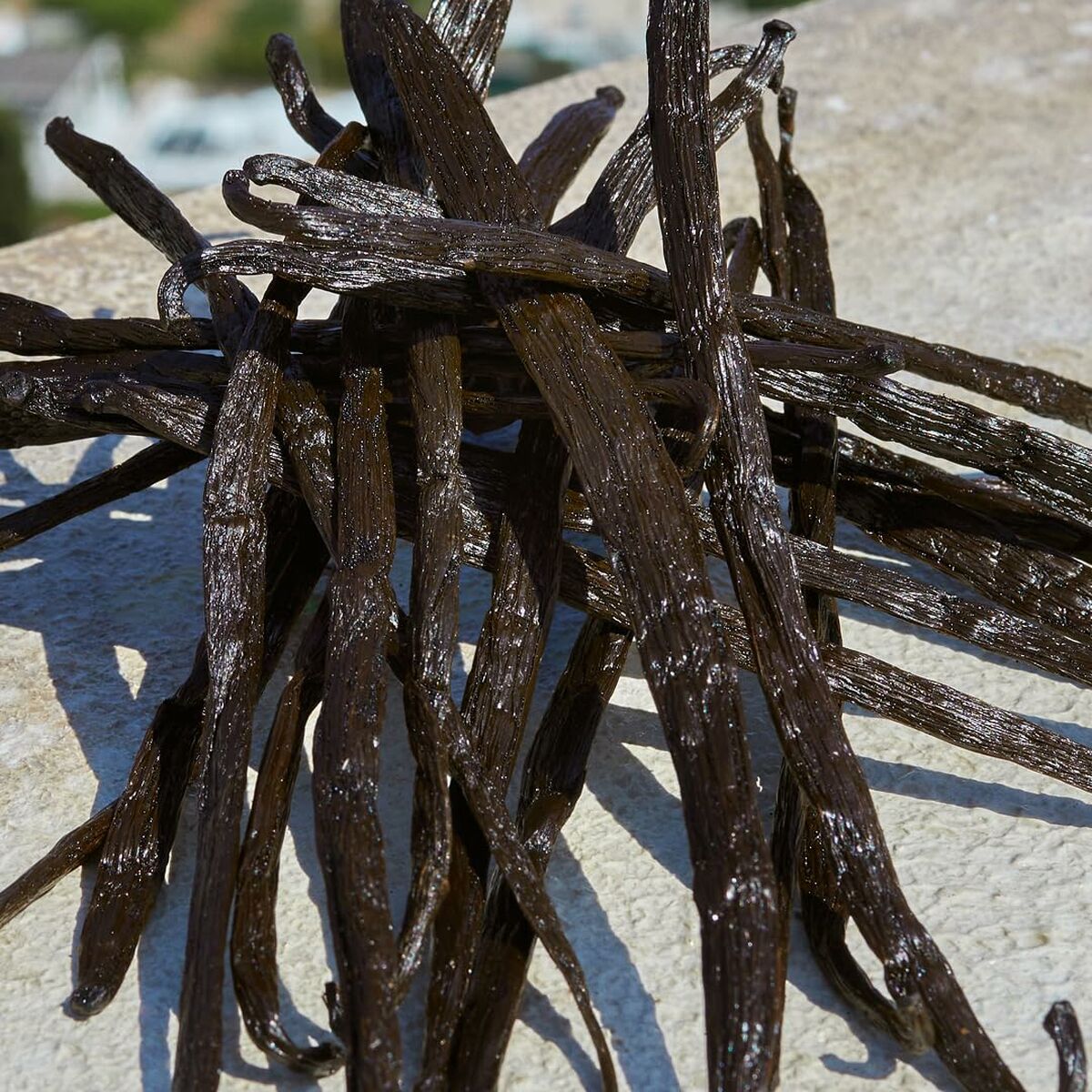 Profumo Donna D&G Devotion EDP 50 ml