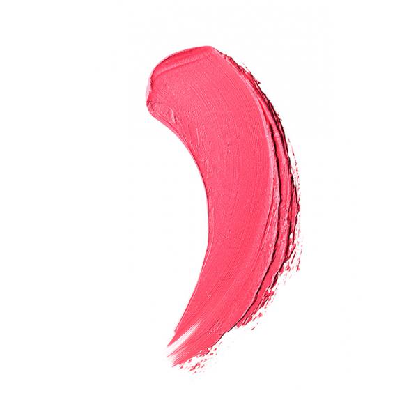 Estee Lauder Pure Color Envy Matte 209