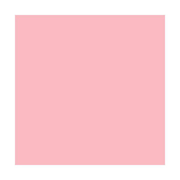 Rimmel London Super Gel French Manicure 091 English Rose