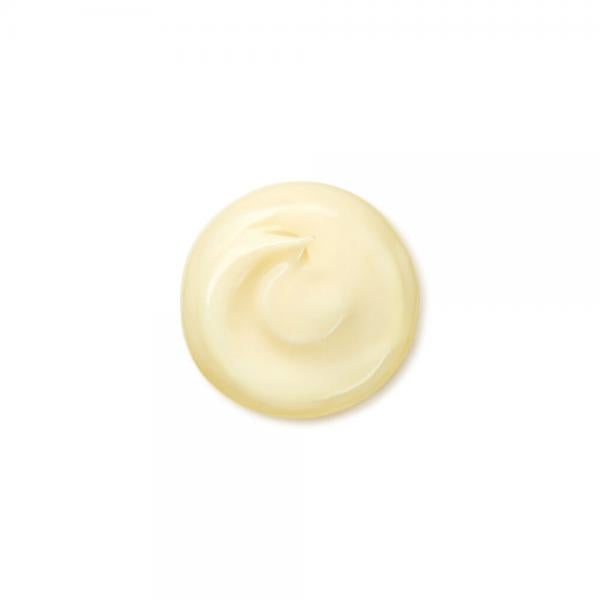 Shiseido Benefiance Wrinkle Smoothing Cream 50ml