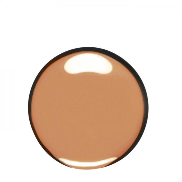 Clarins Skin Illusion Natural Hydrating Foundation Spf15 113 Chestnut 30ml