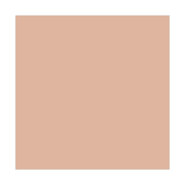 Rimmel Stay Matte Pressed Powder 005 Silky Beige
