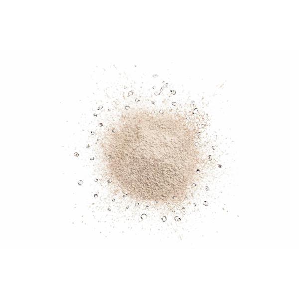 Shiseido Dior Diorskin Forever Polvos Compactos 10 1ml