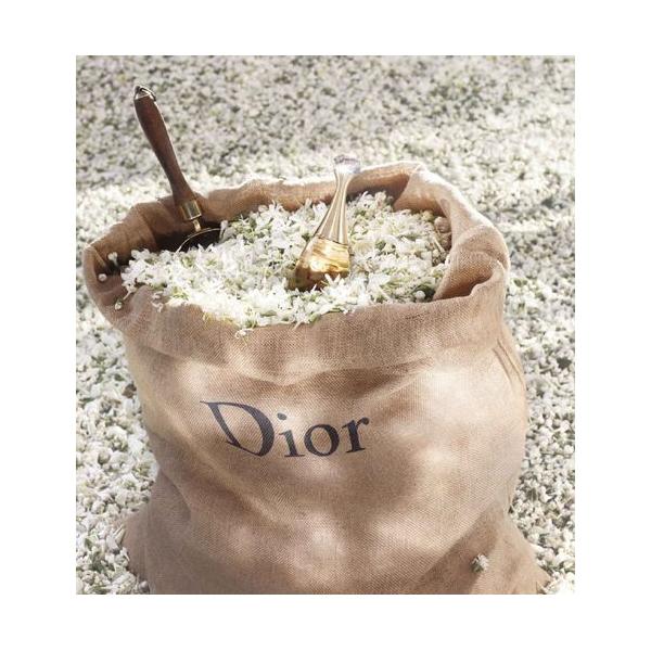 Dior J'adore Perle De Parfum Roller Pearl 20ml