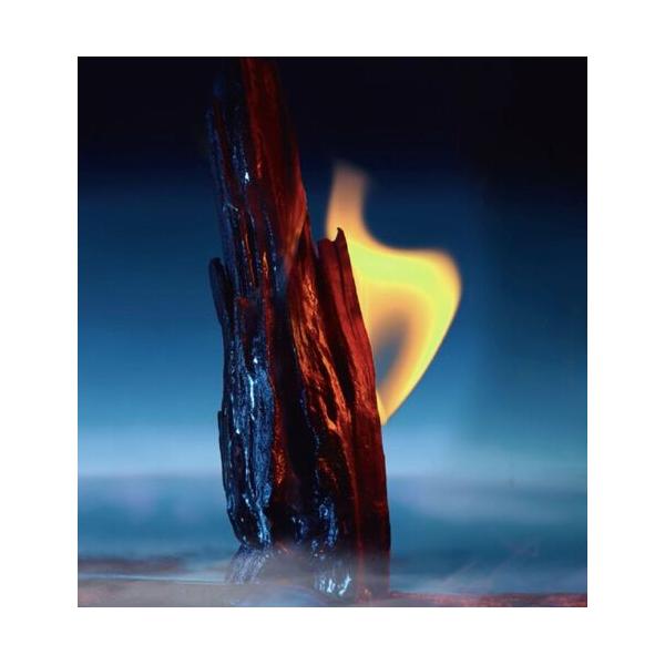 Dior Sauvage Parfum Spray 100ml