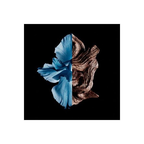 Profumo Uomo Givenchy Gentleman Intense EDT 100 ml