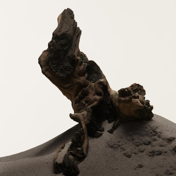 Profumo Uomo Burberry Hero EDT 100 ml Hero