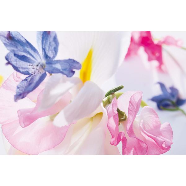 Profumo Donna Dior Miss Dior EDP