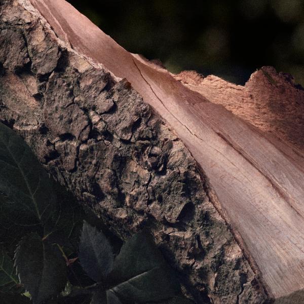 Profumo Donna Chloe Naturelle EDP 50 ml