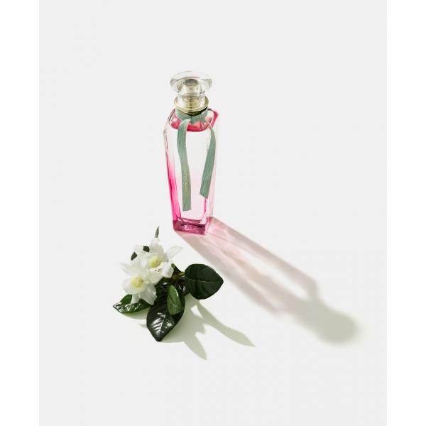 Adolfo Dominguez Agua Fresca Gardenia Musk Eau De Toilette Spray 120ml 