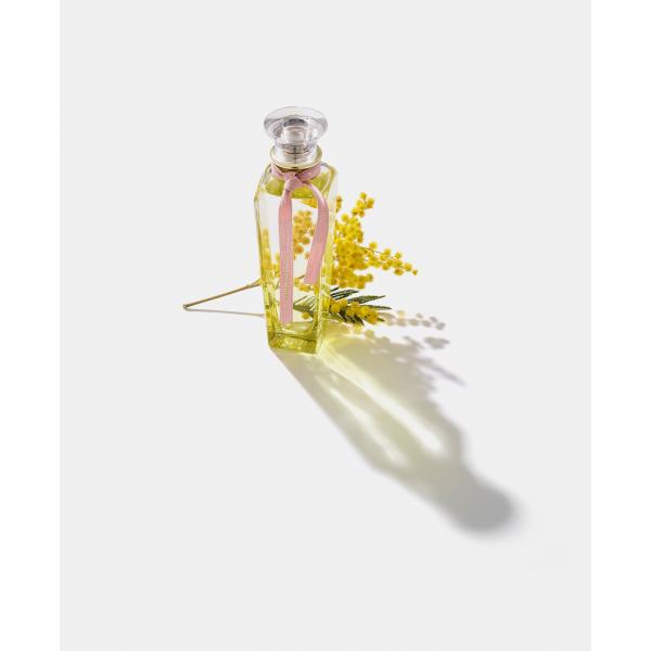 Adolfo Dominguez Agua Fresca Mimosa Coriander Eau De Toilette Spray 120ml