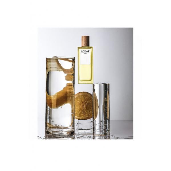 Loewe Agua Loewe Eau De Toilette 100ml Spray
