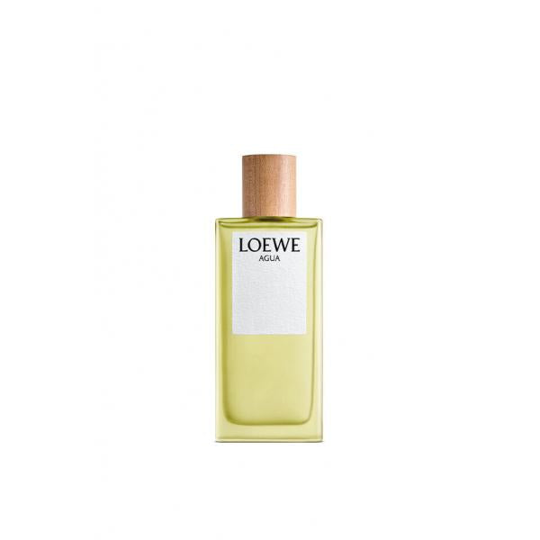 Loewe Agua Loewe Eau De Toilette 100ml Spray 
