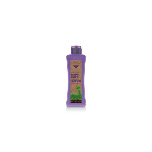Salerm Cosmetics Biokera Grapeology Shampoo 300ml