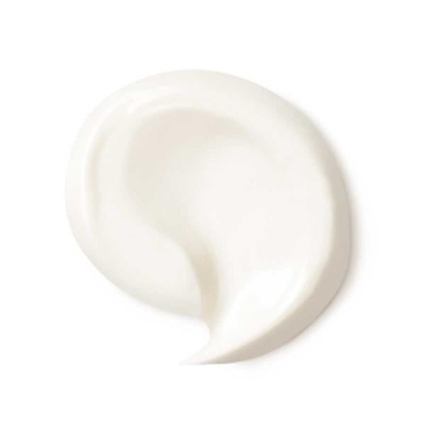 Dr Hauschka Rose Day Cream 30ml 