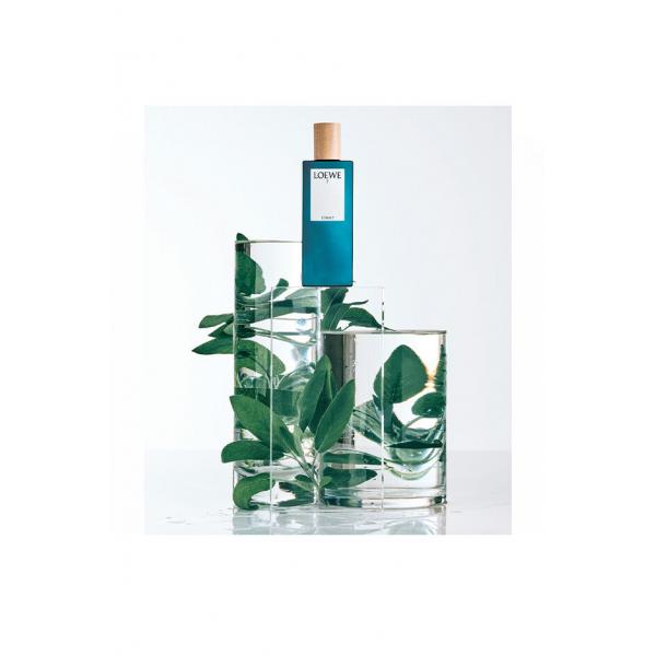 Loewe 7 Cobalt Edp Spray 100ml