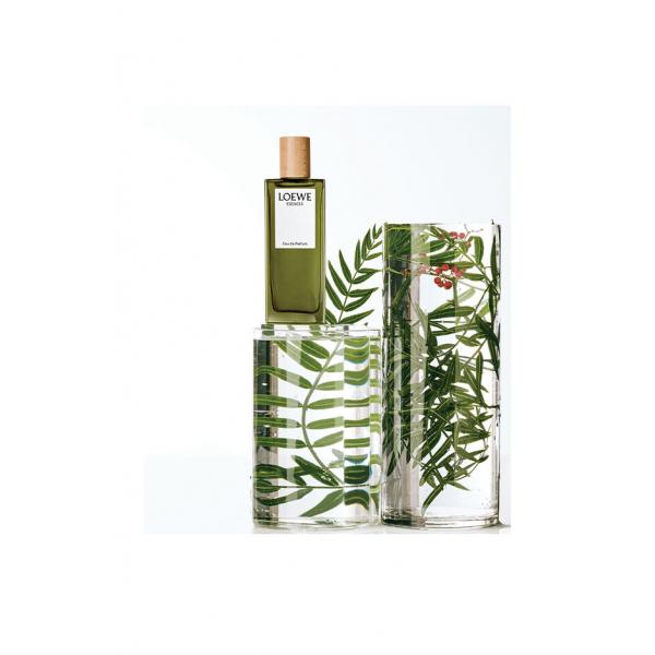 Loewe Esencia Edp Men 100 Vpo Formato Nuevo